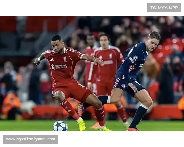 曼联考虑从利物浦挖角麦卡利斯特，转会估值8500万欧元